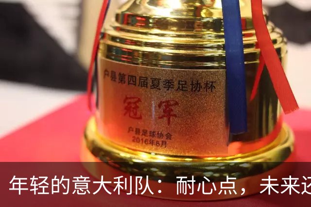年轻的意大利队：耐心点，未来还会更精彩！